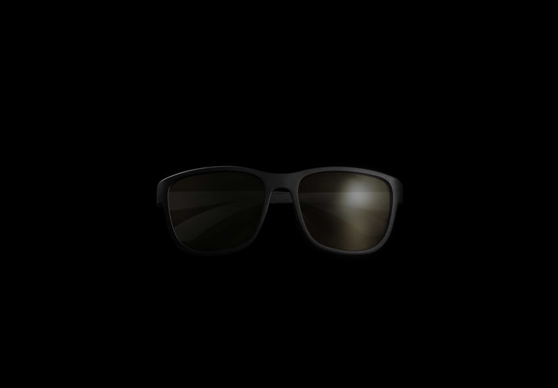 Load image into Gallery viewer, RidgeMonkey Pola-Flare Seeker Polarised Glasses
